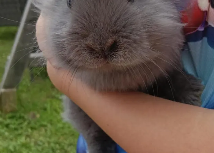 Vakantieboerderij Binderhof Weisspriach