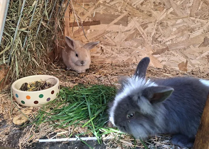 Binderhof Weisspriach